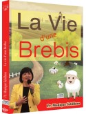 La vie d'une brebis