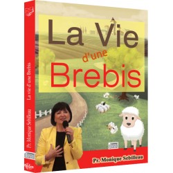 La vie d'une brebis