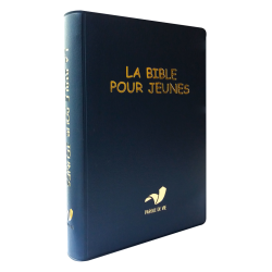 La Bible pour jeunes, vinyle, broché souple