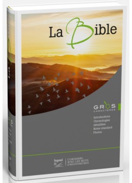 Bible segond 21 - Gros caractères