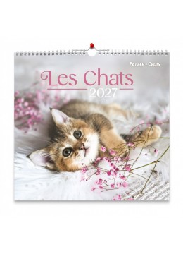Calendrier Nos amis les chats grand format