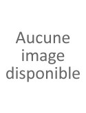 Calendrier Trésor Quotidien